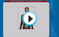 Teach Learn Web Class 3 Science Animations Demo