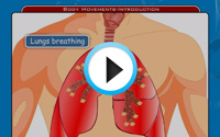 Teach Learn Web Class 6 Science Animations Demo