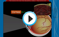 Teach Learn Web Class 10 Science Animations Demo