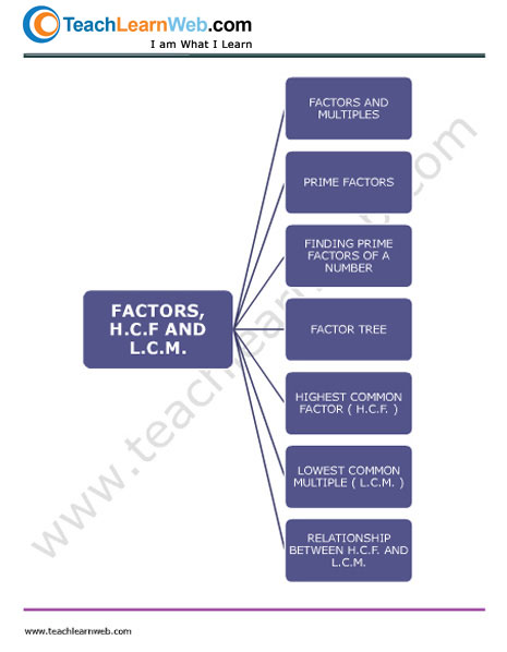 Teach Learn Web Class 5 Math Mind Maps Demo