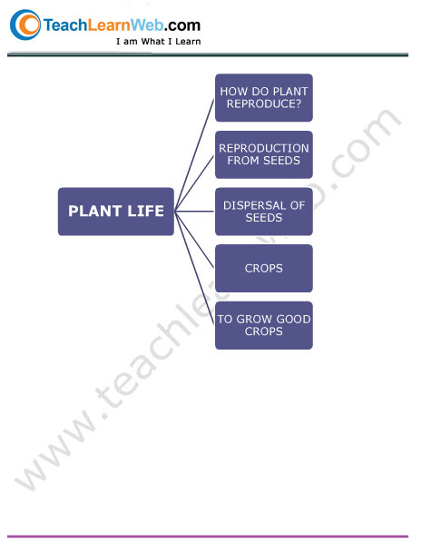Teach Learn Web Class 5 Science Mind Maps Demo