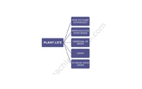 Teach Learn Web Class 5 Science Mind Maps Demo